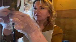 Что такое лук кальсот и как его едят. Кальсотада. Где поесть в Барселоне.