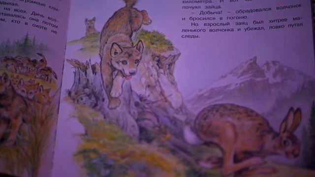 Читаем сказки. Приключения волчонка