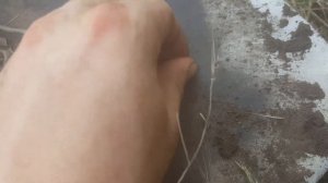 НАШЛИ МНОГО СКИФСКИХ НАКОНЕЧНИКОВ ОТ СТРЕЛ ВОЗЛЕ ДРЕВНИХ КУРГАНОВ !!! КОП ПО СКИФАМ !!! СКИФЫ !!!