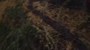 поиски под ЛЭП, демонтаж изолятора|ИТ-30|