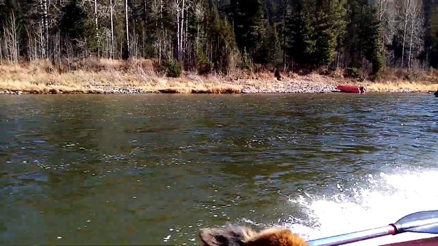 Зарисовки летней рыбалки (2) смотреть онлайн