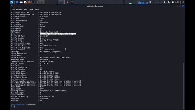 Cat Picture 2 CTF Walkthrough - TryHackMe