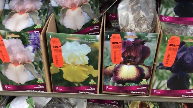 САД 2022.ИРИСЫ в Оби! Сибирские,Бородатые..... смотреть онлайн