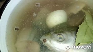 Уха, прикольная уха из скумбрии, очень вкусно??
