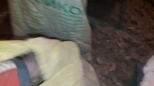 Самодельный измельчитель листьев для переработки червями!