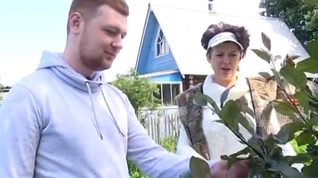 Как с обложки журнала. Участок одной из конкурсанток поражает красотой смотреть онлайн