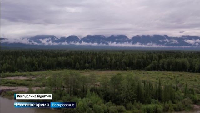 Полвека ее считали исчезнувшей с лица земли. Но Мегадения объявилась в Тункинской долине. Загадочное