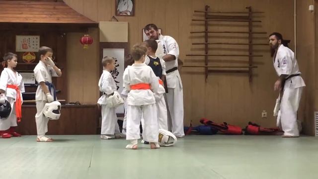 Спарринги кекусинкай 6-7лет смотреть онлайн