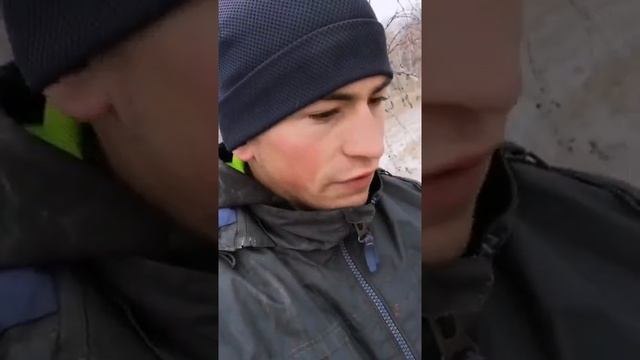 Обращение с березы. 21-й век