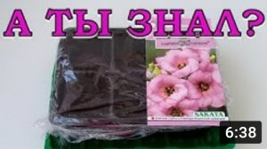 ЦВЕТЫ для посева в ФЕВРАЛЕ???