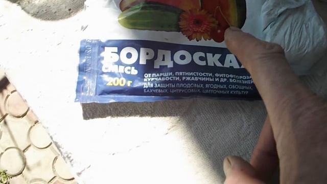 ОПРЫСКИВАНИЕ ВИНОГРАДА ПЕРЕД ЦВЕТЕНИЕМ  Vselennaya Uvlesheniy