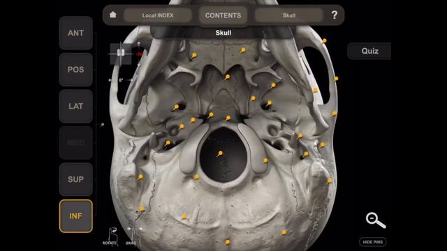 NEUROAPPS 3D ATLAS OF ANATOMY смотреть онлайн