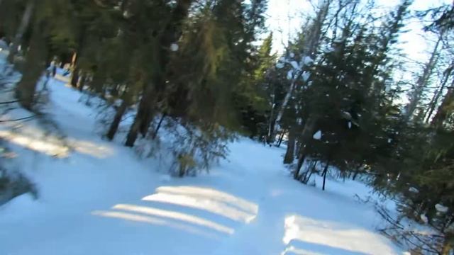 Canon PowerShot SX40 HS