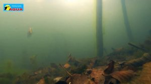 Блесна зимняя AQUA Нерка