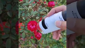 Карманный микроскоп