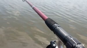 Фидерная рыбалка на карася 2021!!! Каша с чесноком!!! Караси кабаны!!!