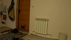 Система отопления.Какой радиатор выбрать? Причина появление запаха в системе отопления из радиаторо