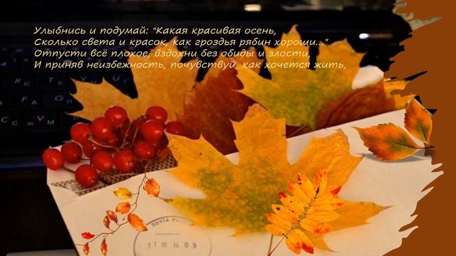 https://pic.rutubelist.ru/video/ed/b5/edb5ec858660ba3ed121a4c7794cf9f1.jpg
