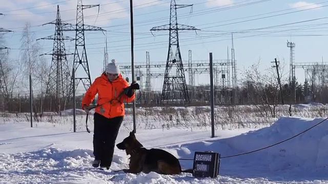 MAQ02698 смотреть онлайн