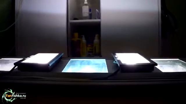 Освещение аквариума с растениями пример ядерного света в травнике на 300 литров смотреть онлайн