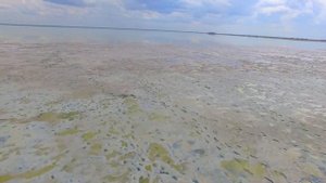 Соленое Озеро Чебаклы которое исчезает 2019