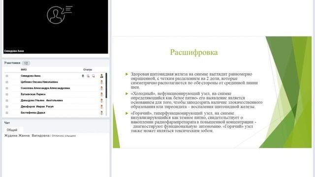 Гипертиреоз у кошек. Симптомы. Диагностика. Лечение.