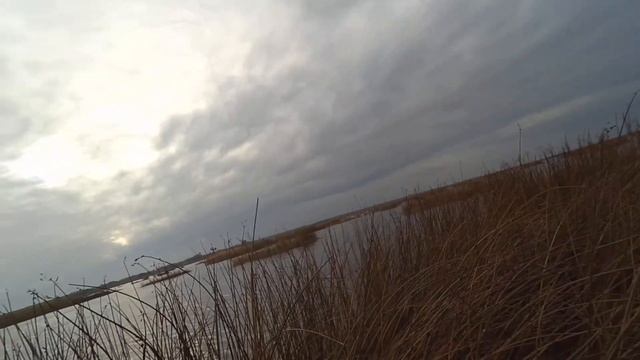 Охота на уток в начале ноября 2019-го. смотреть онлайн