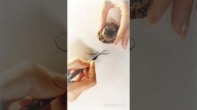 Musical calligraphy /  Музыкальная каллиграфия / Росчерки