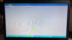 Настройки Bios Dell inspiron 3521, 3721, 3737, 5537, 7X37 для успешной установки Hackintosh
