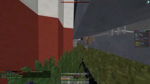 PVP CHAR. Гибрид. лаки дейз (+char)