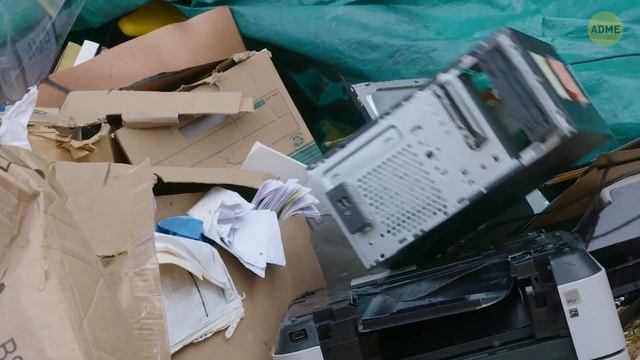 Почему существует перевод «Гарри Поттера» для поколения Z