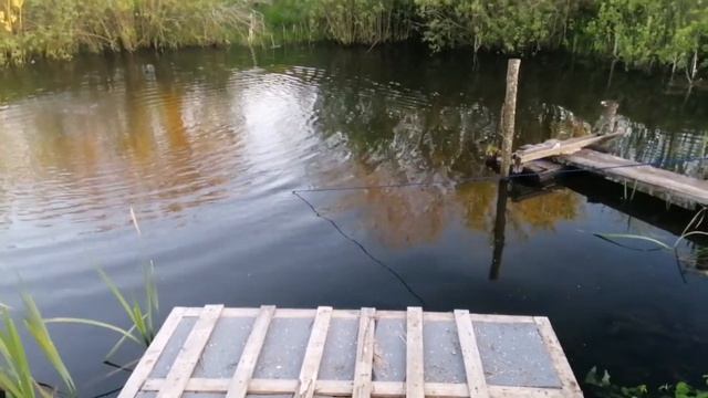 ТРУДОВЫЕ БУДНИ В ДЕРЕВНИ/Поисковый Магнит/РЫБАЛКА