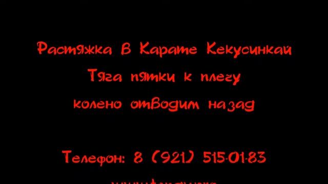 Растяжка в Кёкусинкай Карате. Клуб - Тэнгу Про. Мурманск смотреть онлайн