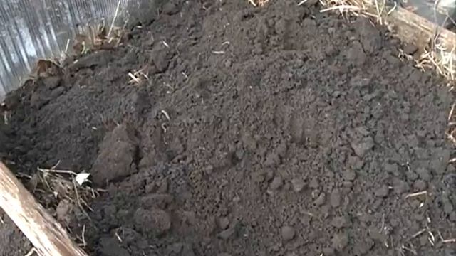 Идеальный способ выращивания тыкв и кабачков смотреть онлайн