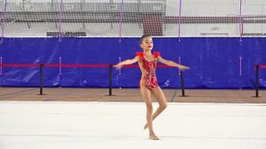 ХУДОЖЕСТВЕННАЯ ГИМНАСТИКА,БП.