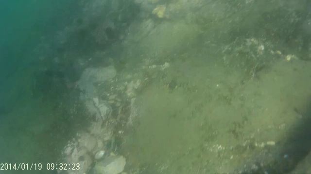 Ищем гребешок в Японском море