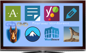 Плагины для сайта Wordpress[6]Необходимые и нужные