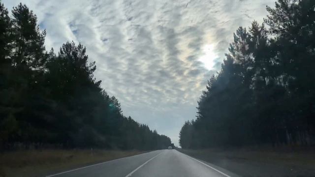 221. Вечеринка в стиле 90х ? Едем в Курган ? Встретили папу по трассе?♂️ Воробьёвы горы ? смотреть онлайн