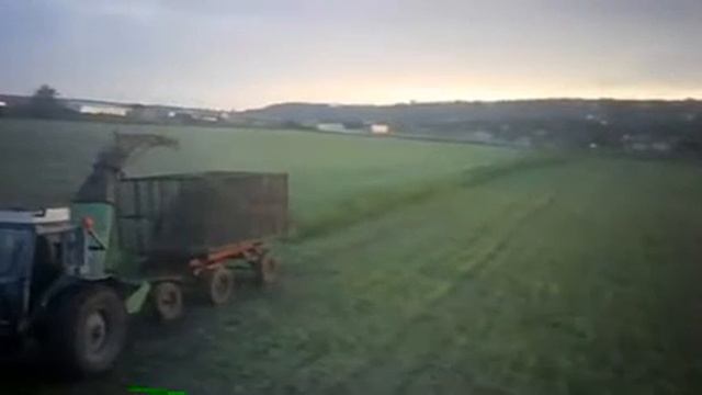 Суданка на зелёную массу смотреть онлайн