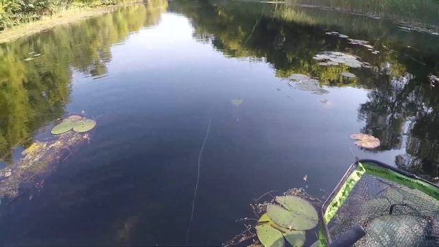 Первая рыбалка с Shimano 19 Antares. смотреть онлайн