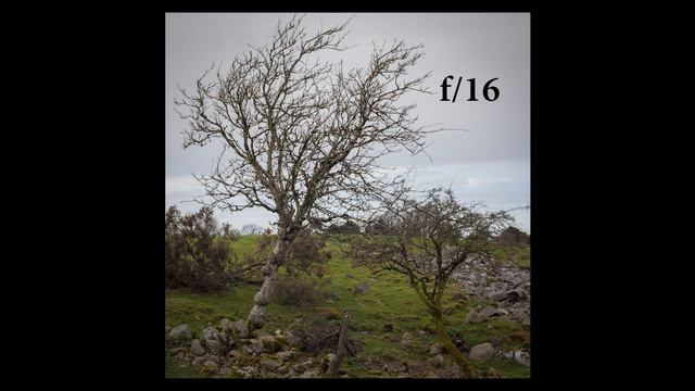 what is aperture in camera Look Here смотреть онлайн