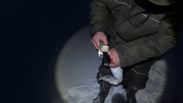 Рыбалка в Карелии. Клевая рыбалка в Янишполе. смотреть онлайн