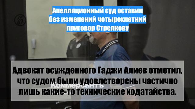 Апелляционный суд оставил без изменений четырехлетний приговор Стрелкову