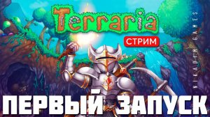 TERRARIA: ПЕРВЫЙ ЗАПУСК