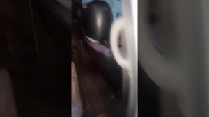 Тойота Эстима 2002г. объём 2.4    г. Бишкек