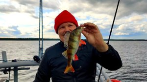 как ловить ОКУНЯ Осенью на СПИННИНГ, Финский залив