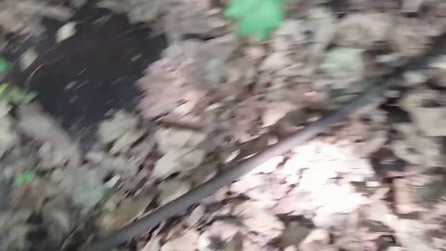 ищу металл в татарстане/Коп метала с хорошим результатом/ мд4030