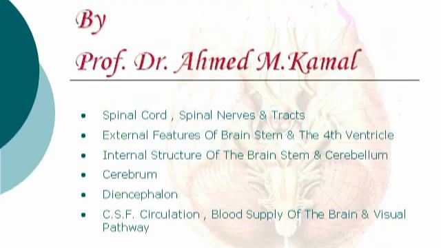 1. Introduction - Neuroanatomy (1) (Dr/ Ahmed Kamal)