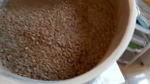 Люкссталь 7 ГОРЯЧЕЕ ОСАХАРИВАНИЕ И ЧИЛЛЕР 15 м