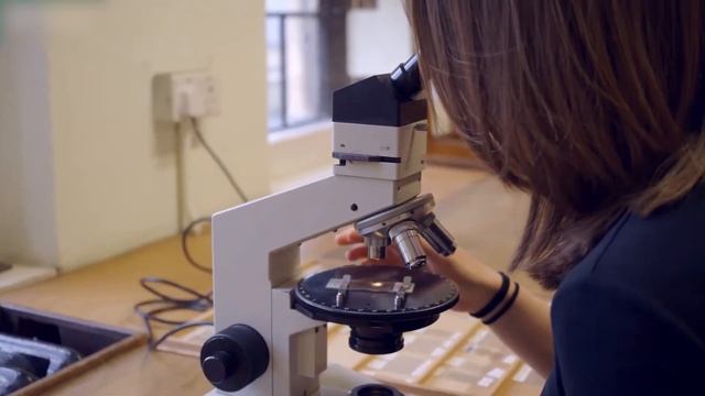 Как поступить в Кембридж | Учеба в Великобритании | ИНТЕЛСФЕРА смотреть онлайн